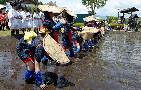 田植えまつり